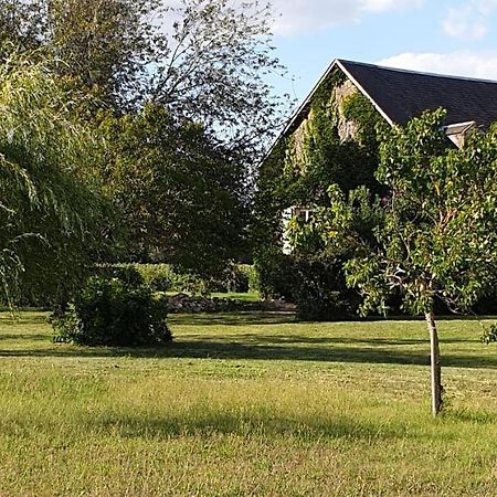 Gite Le Campagnard Saint-Germain-Des-Bois  Eksteriør bilde